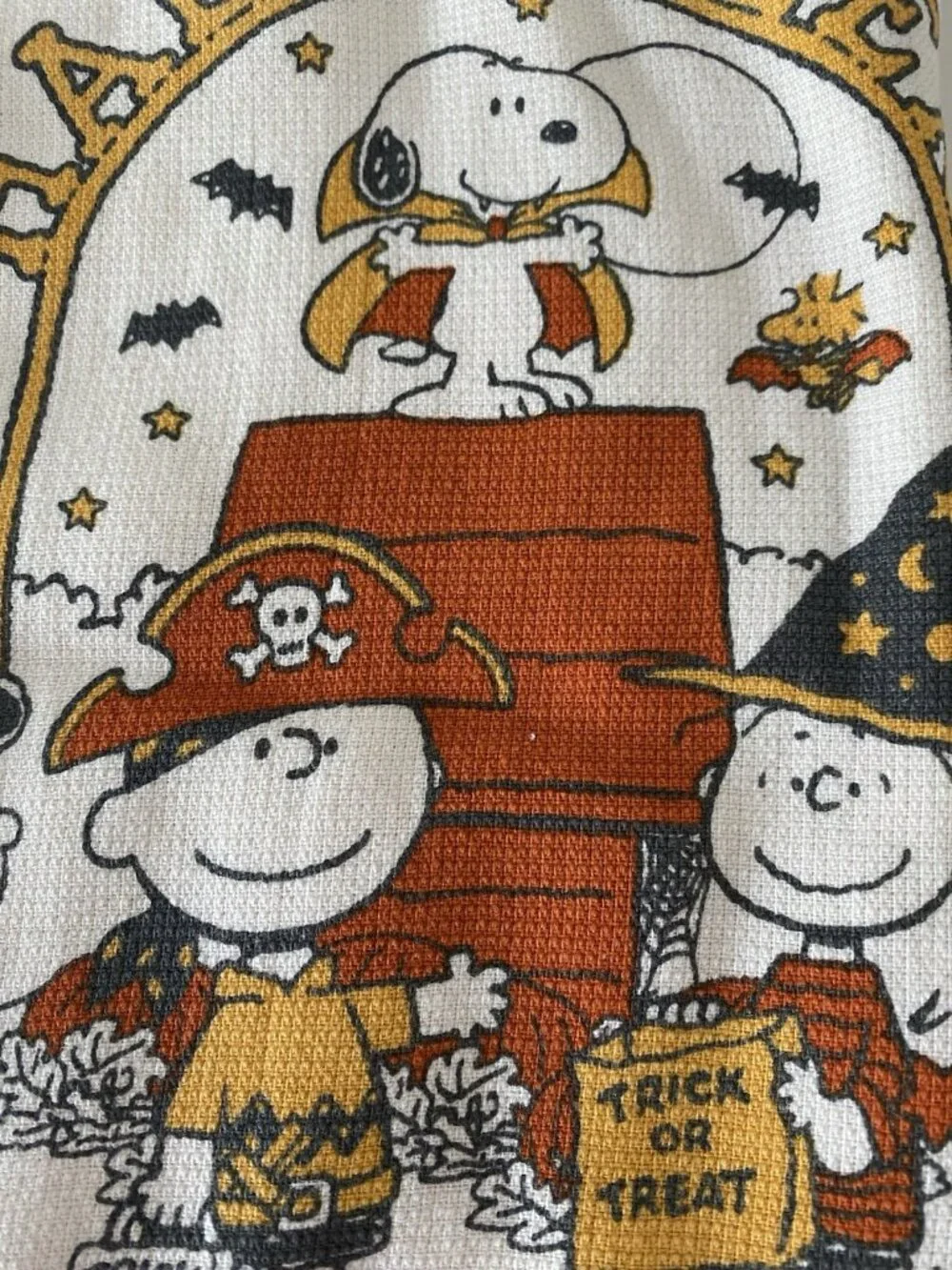 2 pack RAE DUNN PEANUTS Gang Snoopy trick or Treat Halloween Kitchen Towels NEW